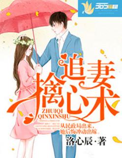 腹黑大少追夫路 腹黑大少追夫路