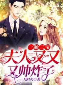 一胎三宝夫人又又又帅炸了8.7分 已完结