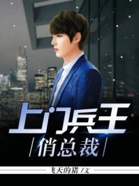 上门兵王 上门兵王