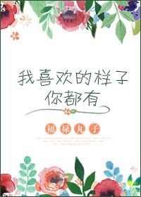 我喜欢的样子你都有是什么意思?