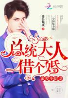 总裁大人借个婚 非吾倾城 总裁大人借个婚 非吾倾城