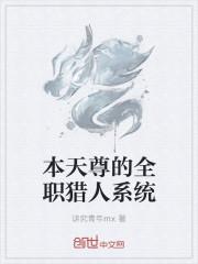 全职猎人总攻系统(全)