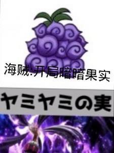 海贼开局抢到暗暗果实 海贼开局抢到暗暗果实