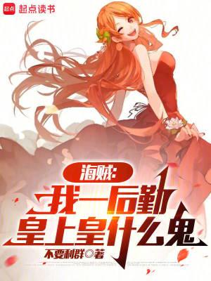 海贼我一个后勤皇上皇什么鬼