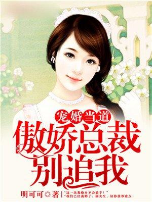 傲娇总裁别追我