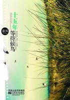 十五年等待候鸟苏苏