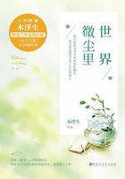 曾鲤艾景初世界微尘里