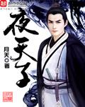 夜天子电视剧免费观看全集