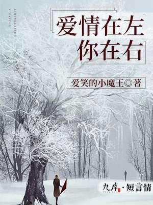 爱情在左生活在右什么意思