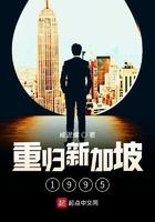 重归新加坡1995 第27章 重归新加坡1995 第27章