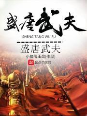 盛唐风流武状元全文免费阅读