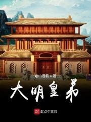 大明的皇上 大明的皇上