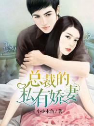 总裁的私有娇妻 总裁的私有娇妻