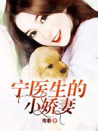 宁医生的小娇妻 宁医生的小娇妻
