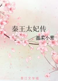 秦王太妃传 秦王太妃传