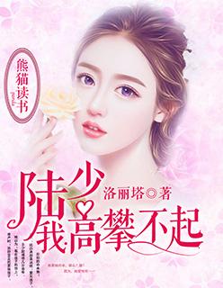 陆少,我高攀不起 陆少,我高攀不起