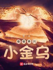 偷偷养只小金乌 偷偷养只小金乌