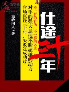 仕途三十年 仕途三十年