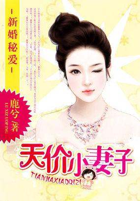 新婚秘爱:天价小妻子 新婚秘爱:天价小妻子