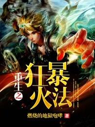 重生之狂暴火法 重生之狂暴火法